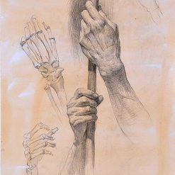 Miniatura Disegno - obrazek 3
